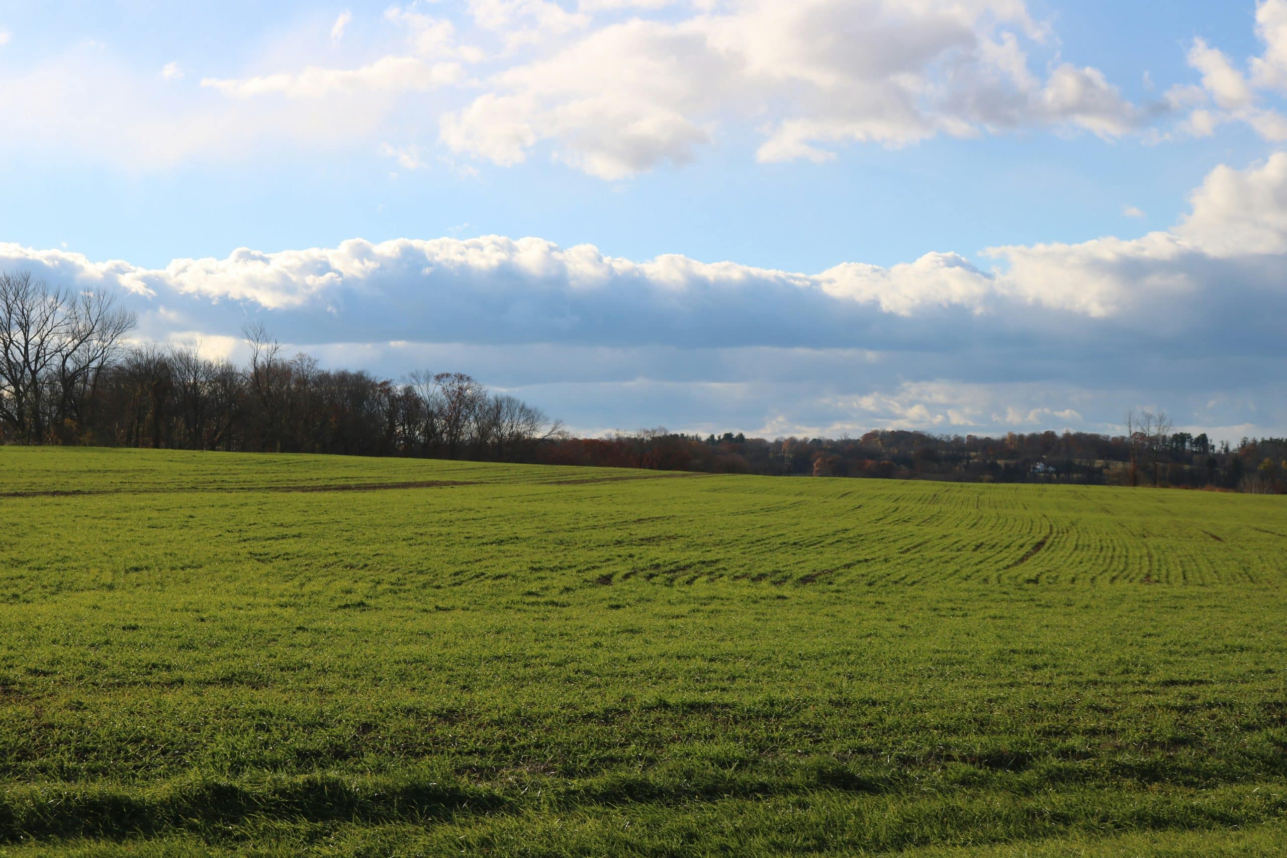 Olivia claire DPtq6 lWK0o unsplash