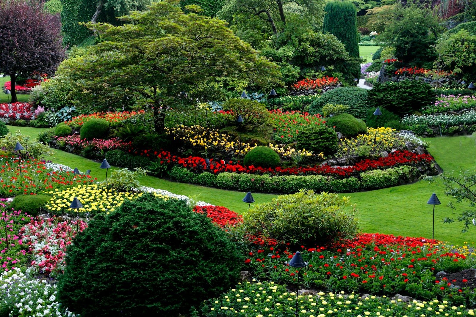 Lush flower beds and manicured shrubs in The Butchart Gardens in Victoria, Canada